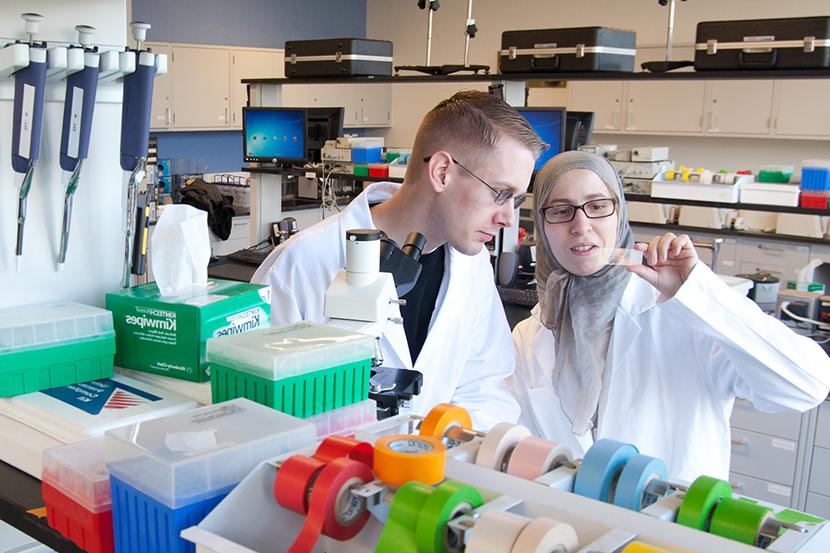 Two undergraduate students working in a pre-health lab