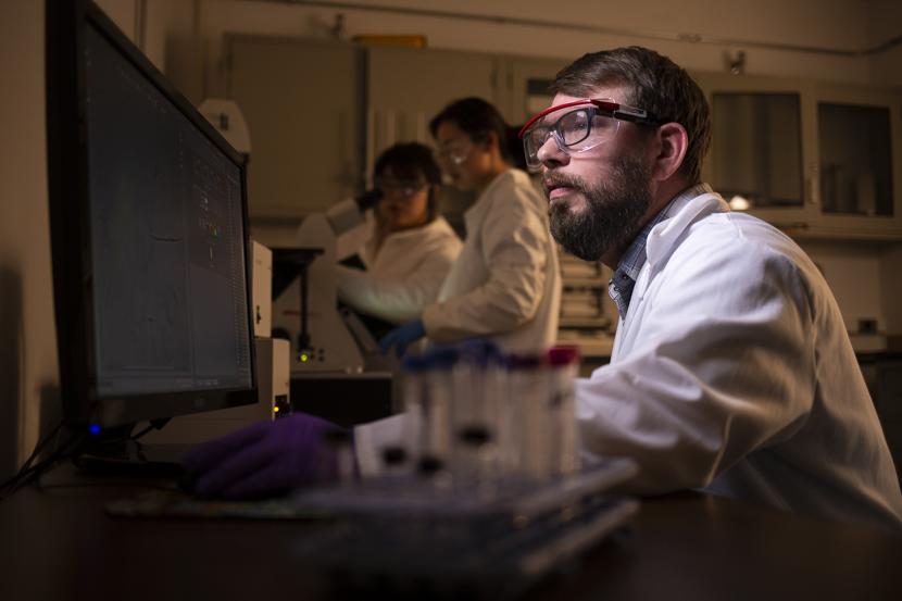 A graduate student examines microscope scans of a compound