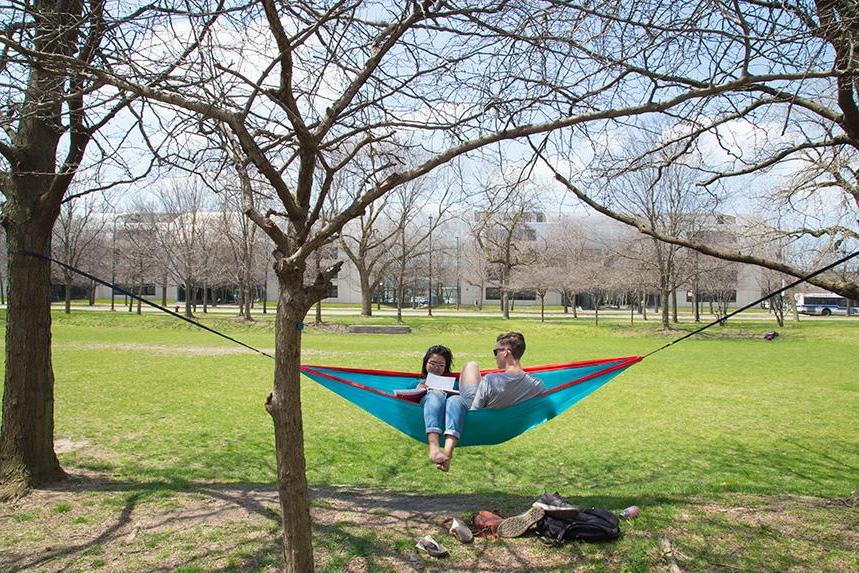 Two students sitting in a hammock on Mies Campus