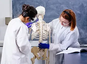 two people in lab coats looking at a skeleton 