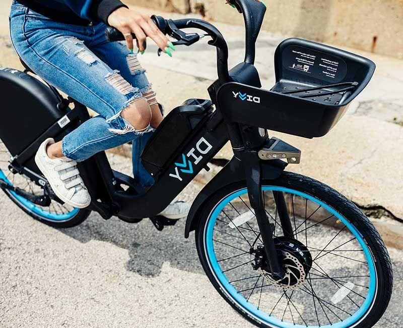 Divvy For Everyone